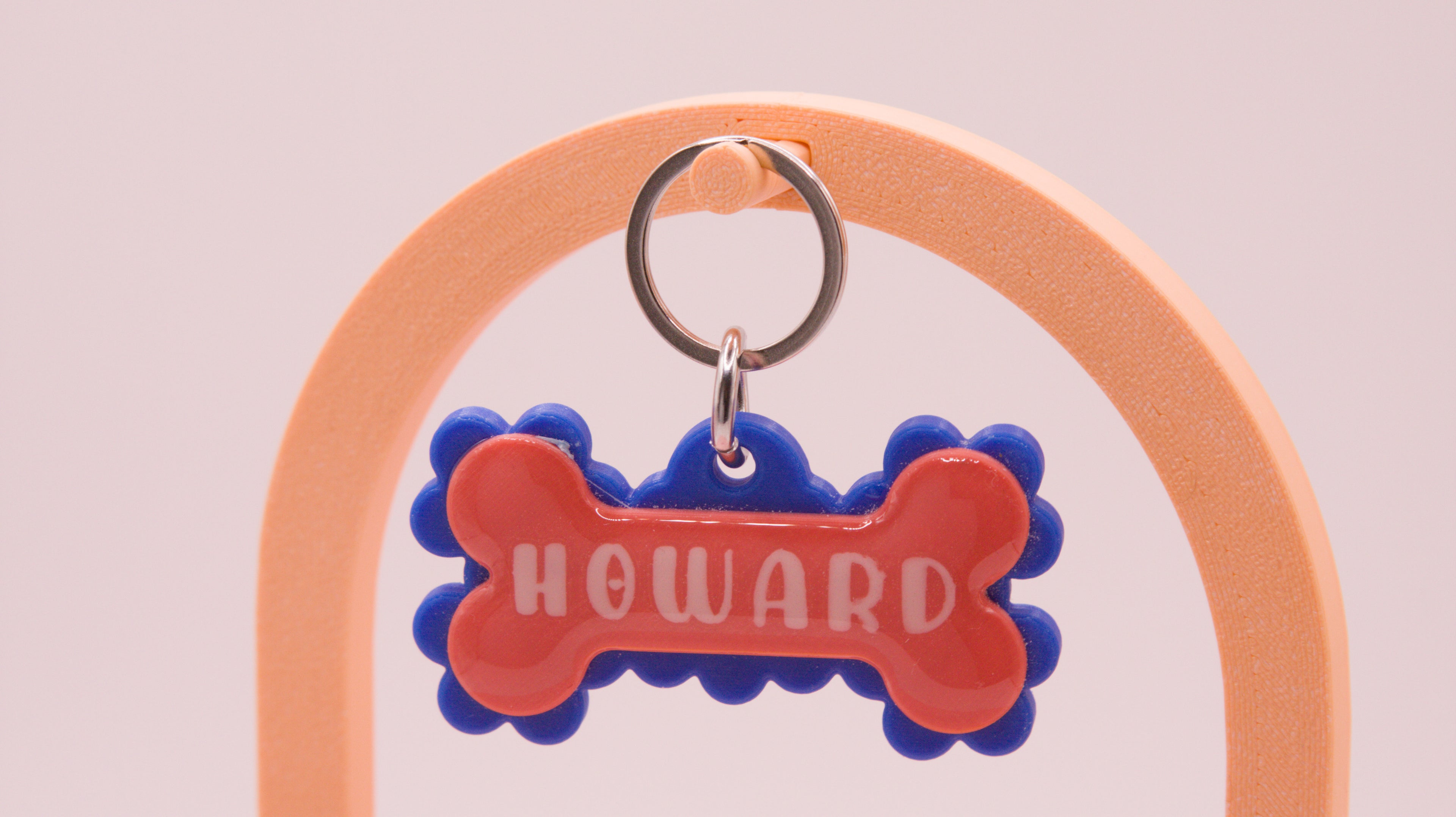 Frill and Bone Dog Name Tag