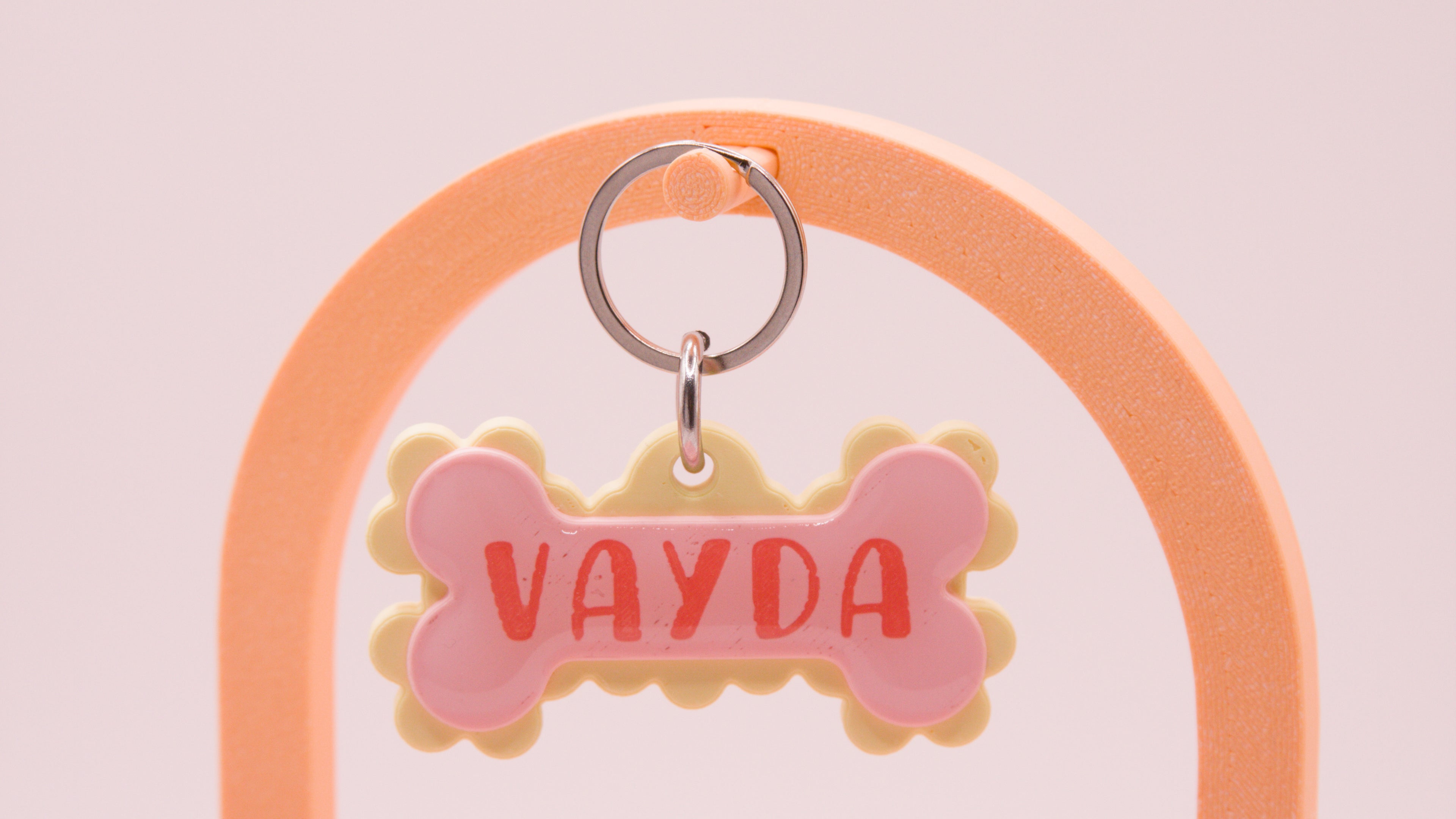 Frill and Bone Dog Name Tag