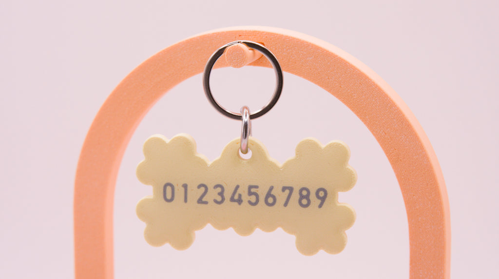 Frill and Bone Dog Name Tag