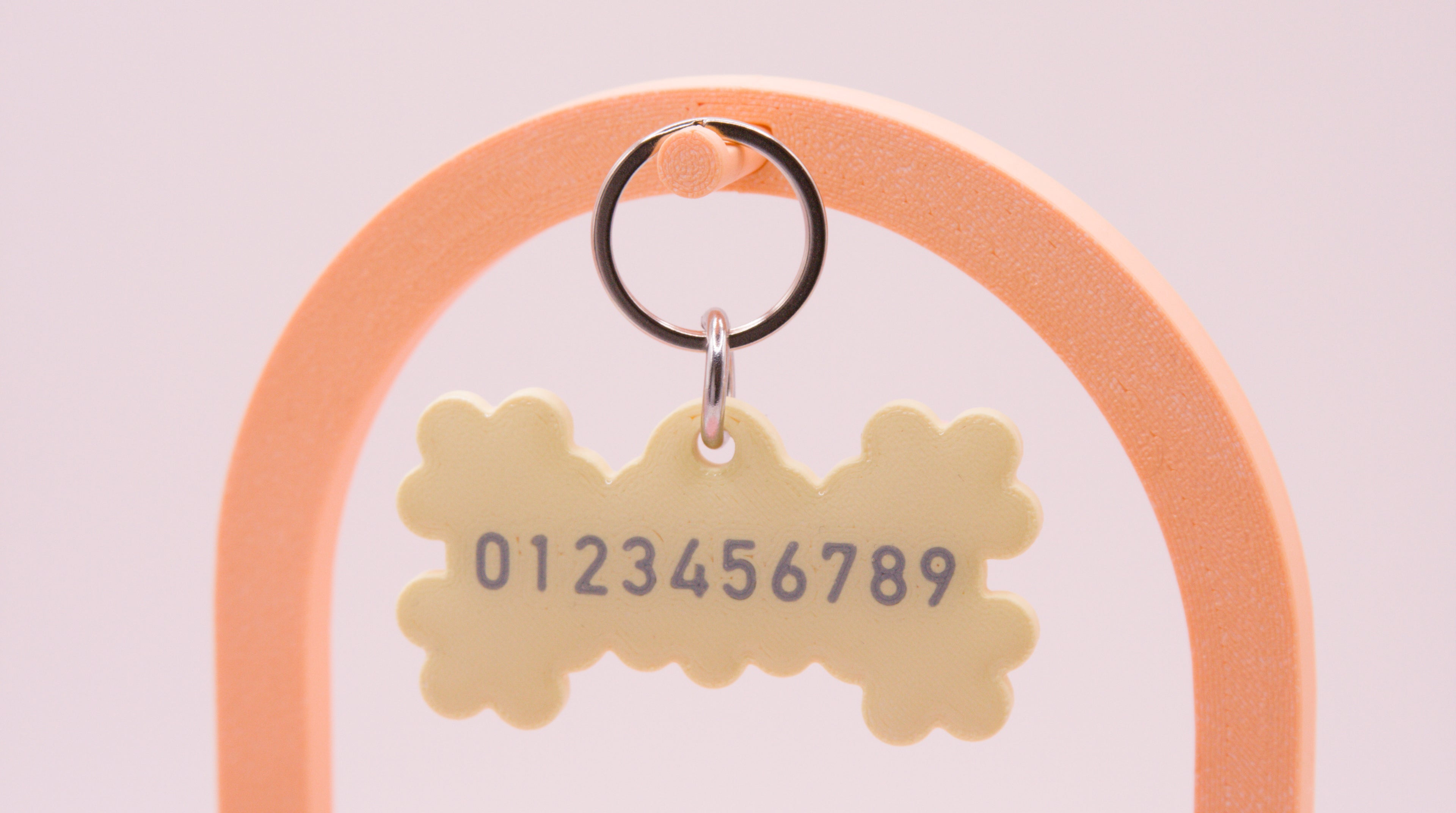 Frill and Bone Dog Name Tag