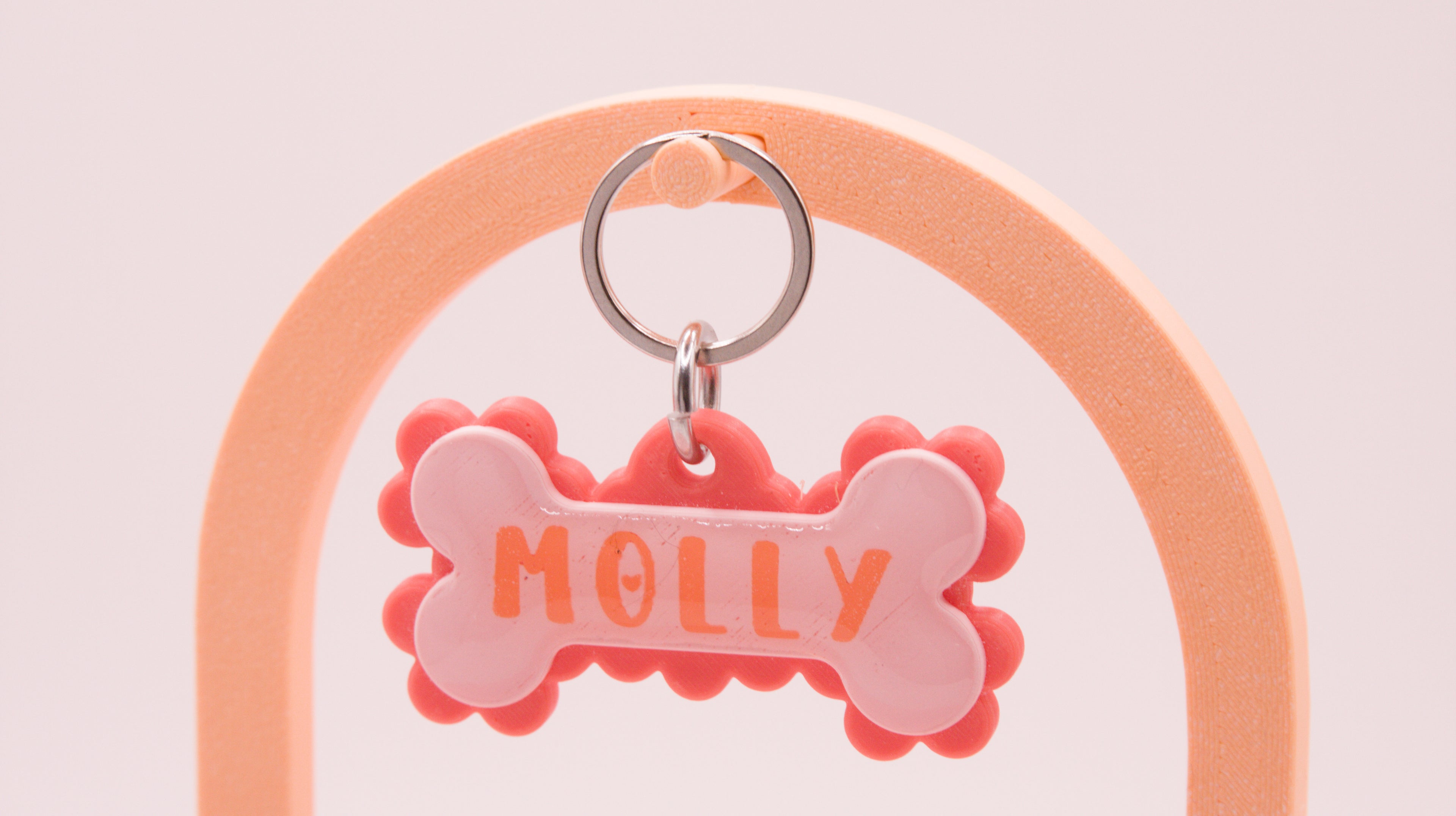Frill and Bone Dog Name Tag
