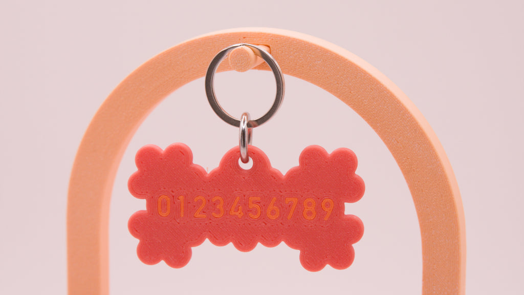 Frill and Bone Dog Name Tag