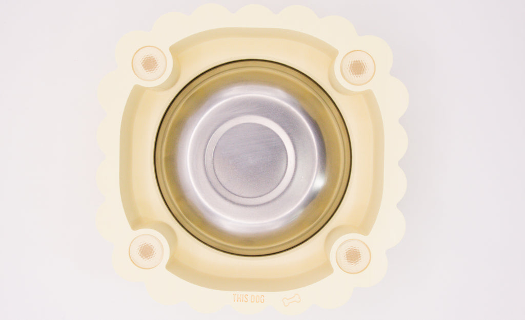 Petal Dog Bowl Small
