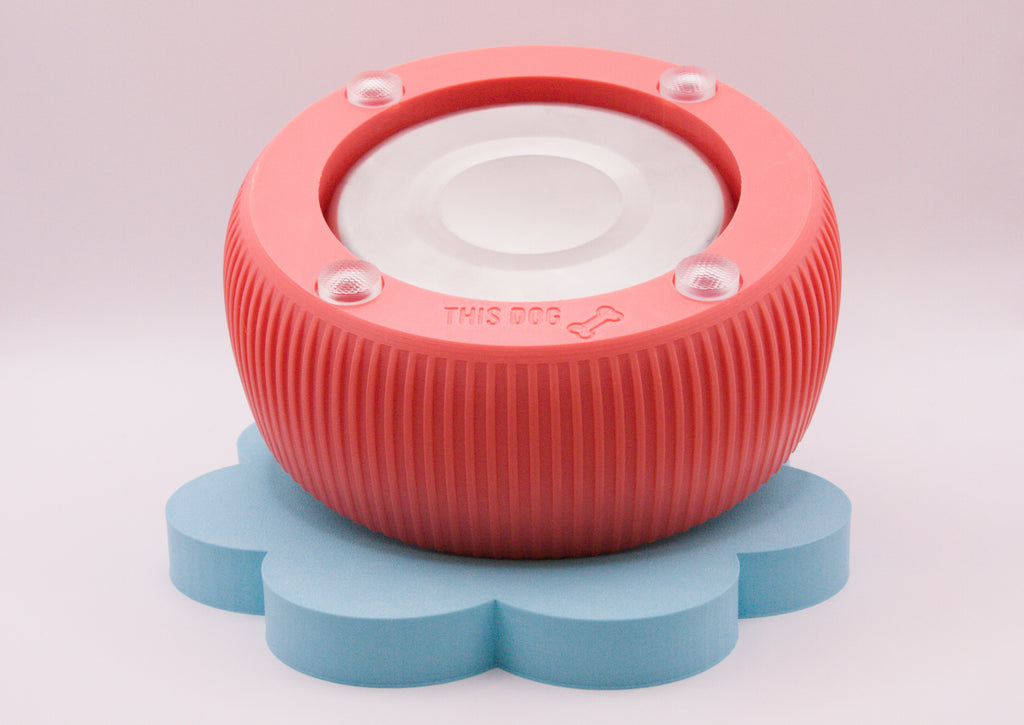 Groovy Dog Bowl Medium