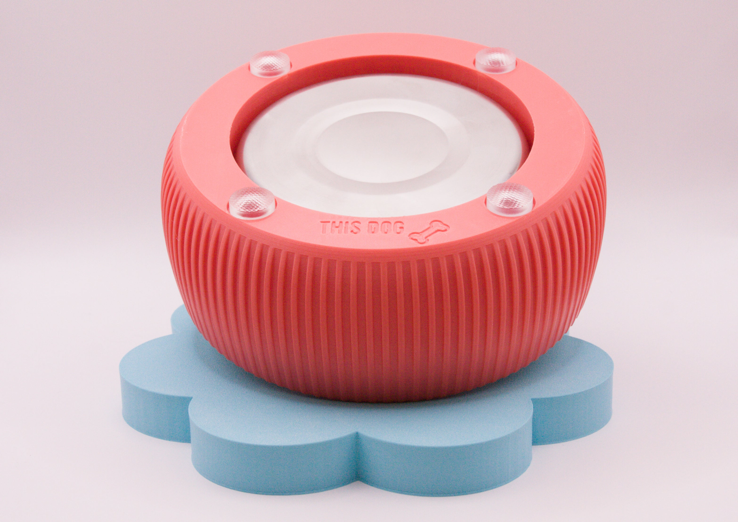 Groovy Dog Bowl Medium
