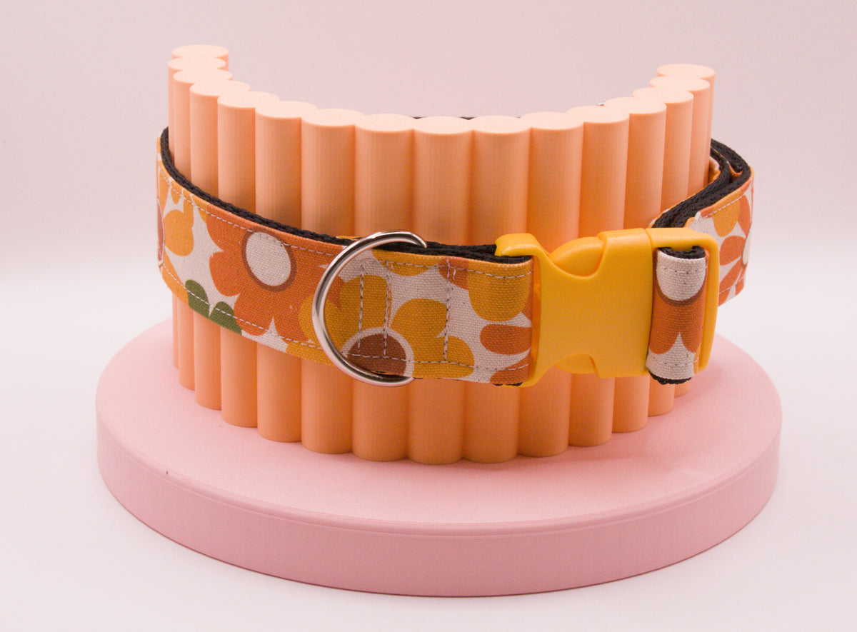 This Dog Collar