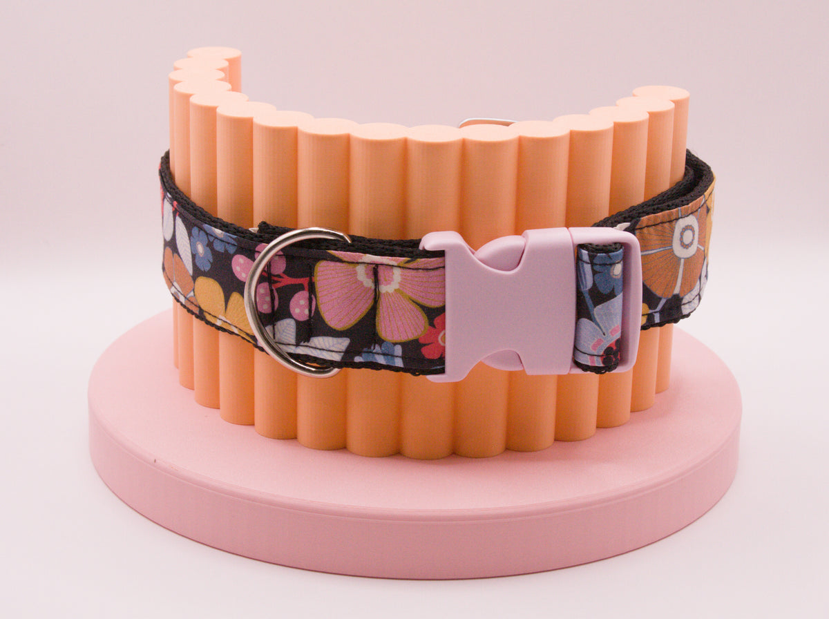 This Dog Collar