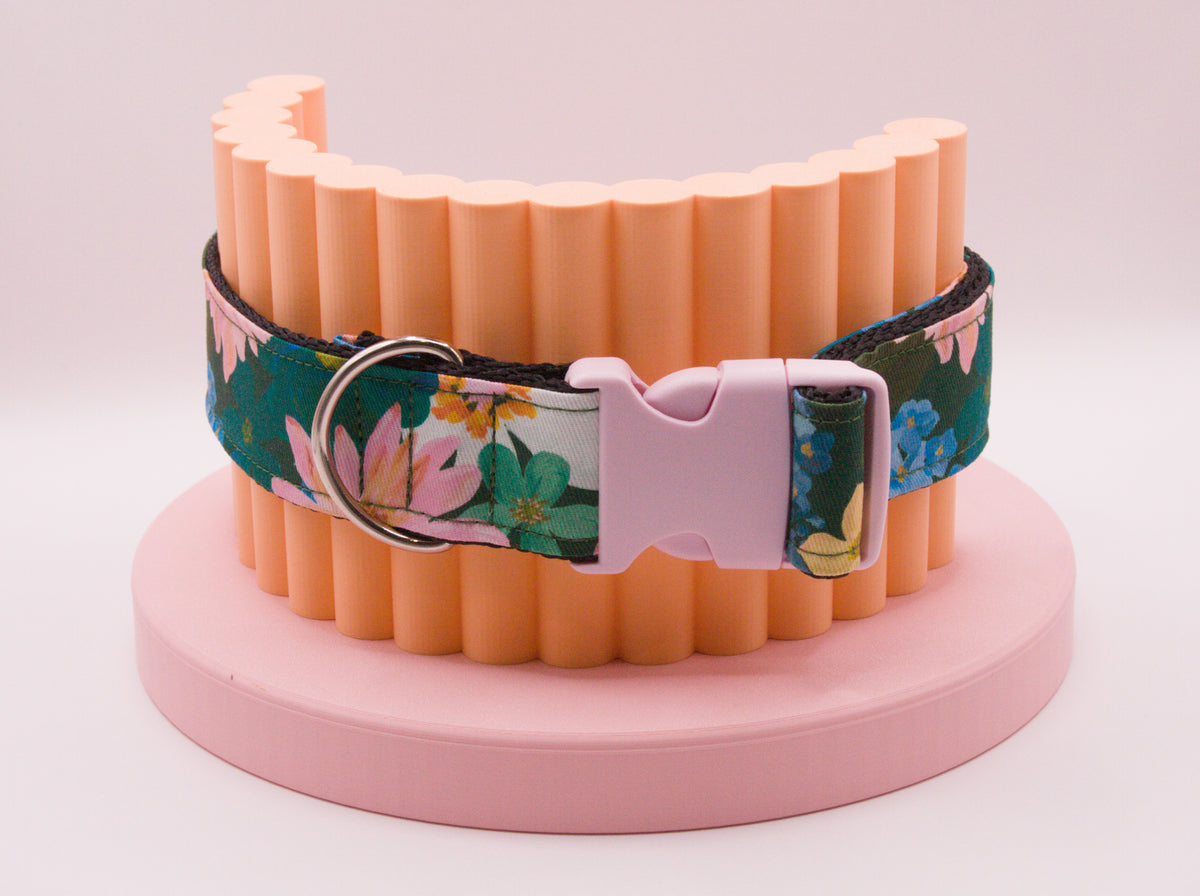 This Dog Collar
