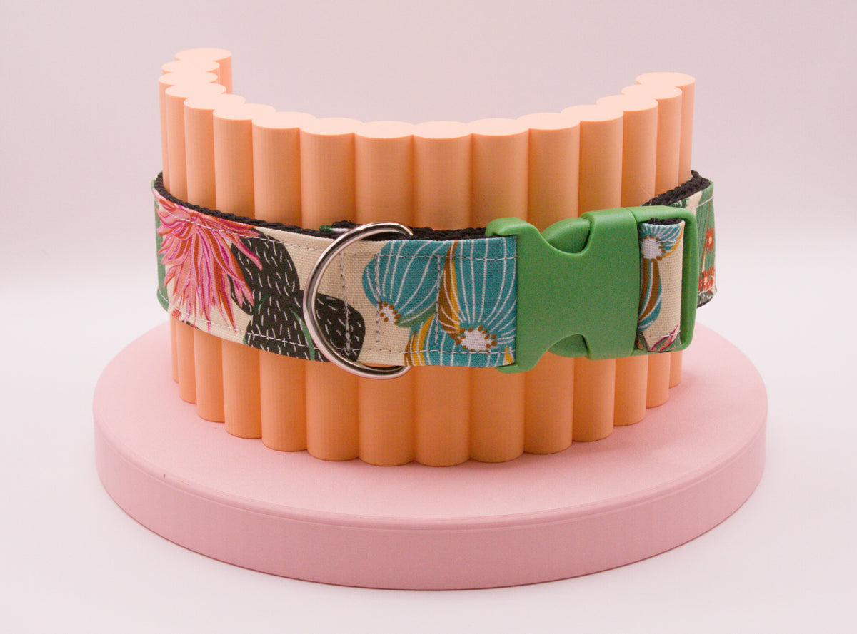 This Dog Collar