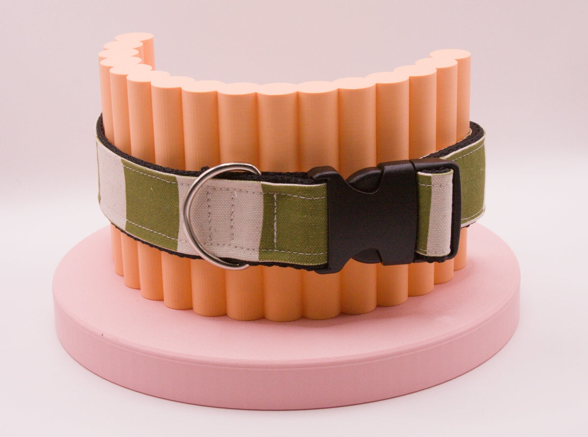This Dog Collar