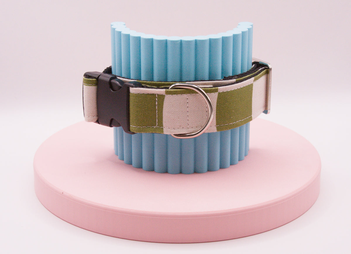 This Dog Collar