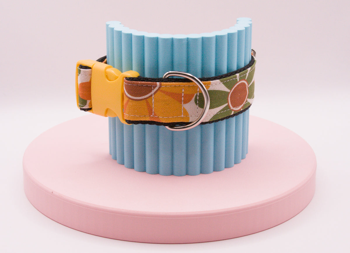 This Dog Collar