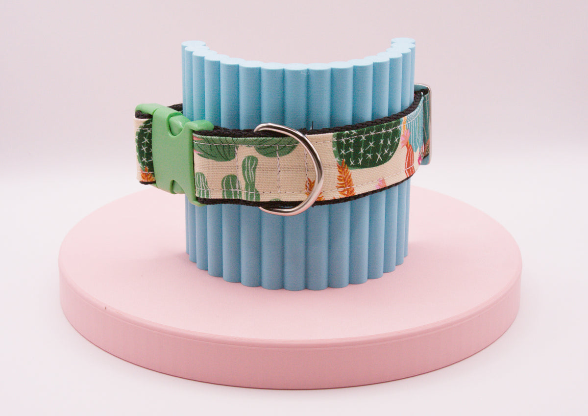 This Dog Collar