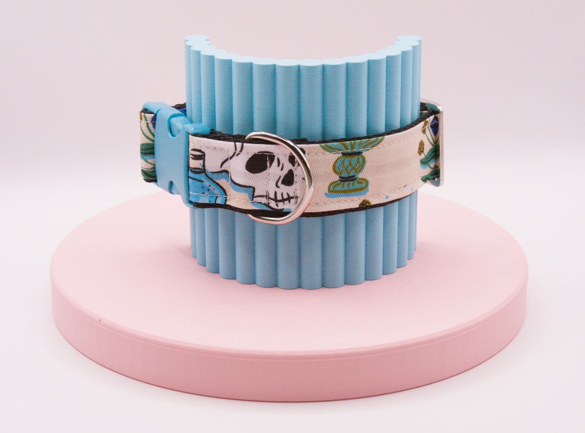 This Dog Collar